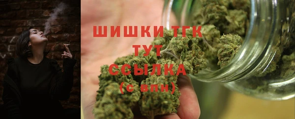 сатива Аркадак