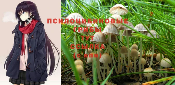 сатива Аркадак