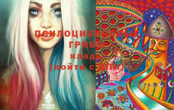 spice Армянск