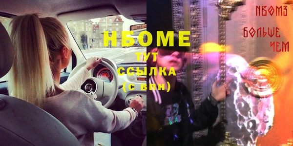сатива Аркадак