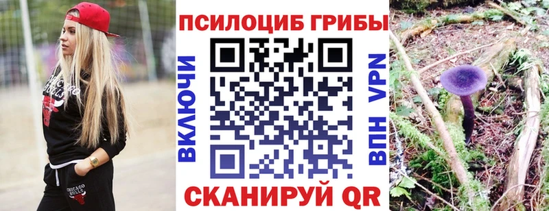 купить наркотики сайты  Чайковский  mega ссылка  даркнет официальный сайт  Галлюциногенные грибы Psilocybine cubensis 