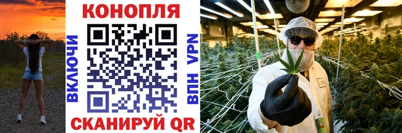 где найти наркотики  Чайковский  Бошки Шишки сатива 